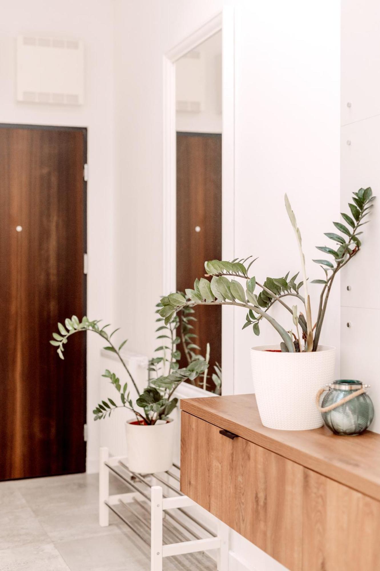 Partnerapart Rakowicka 14 Apartament كراكوفيا المظهر الخارجي الصورة