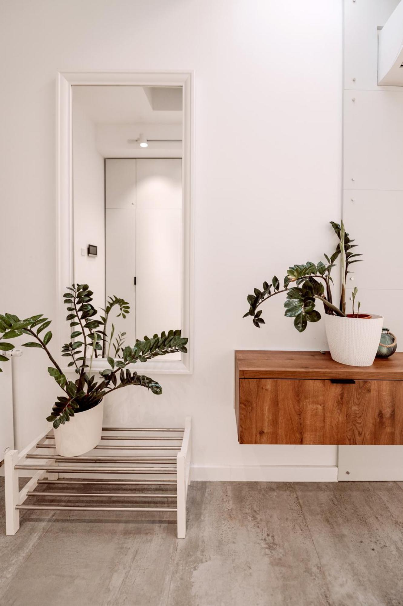 Partnerapart Rakowicka 14 Apartament كراكوفيا المظهر الخارجي الصورة